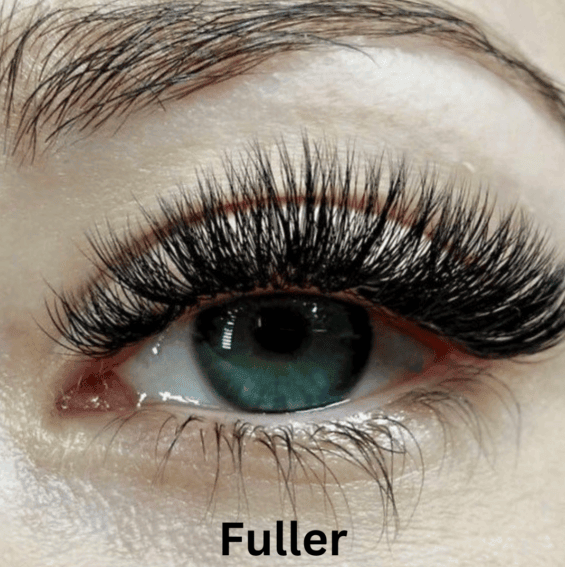 ElaraCraft™ Magnetic Lashes